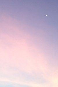 美国田径名将携手冲刺，获得佳绩