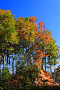 AC米兰两连败，赛季前景蒙上阴影